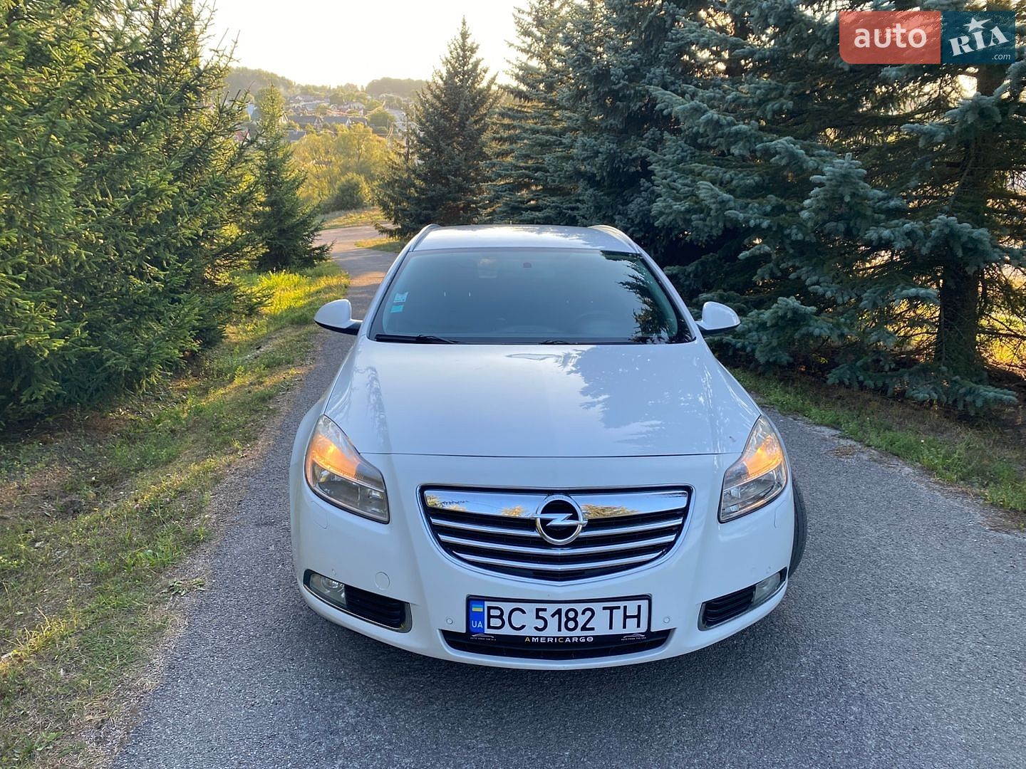 Opel Insignia 2009 VIN W0LGM8EE2A1002039 фото оголошення 6 з 28