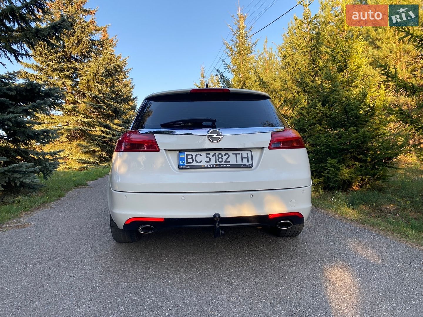 Opel Insignia 2009 VIN W0LGM8EE2A1002039 фото оголошення 8 з 28