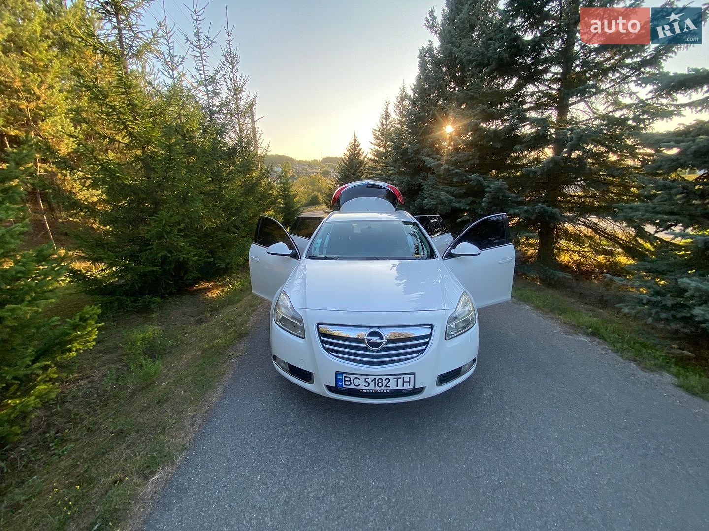 Opel Insignia 2009 VIN W0LGM8EE2A1002039 фото оголошення 21 з 28