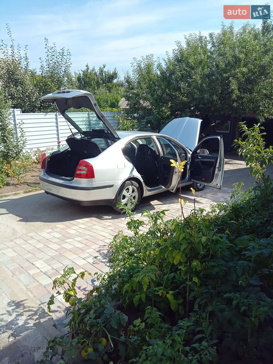 Skoda Octavia 2008 VIN TMBBD41Z98B155728 фото оголошення 2 з 33