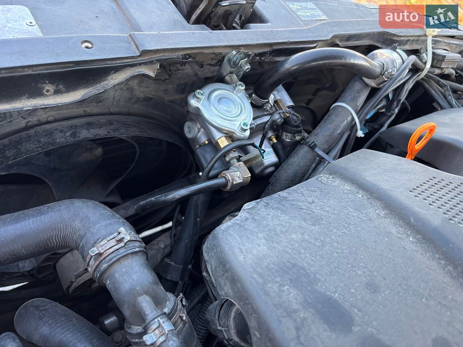 Volkswagen Bora 2005 VIN WVWZZZ1JZ5W017702 фото оголошення 8 з 19