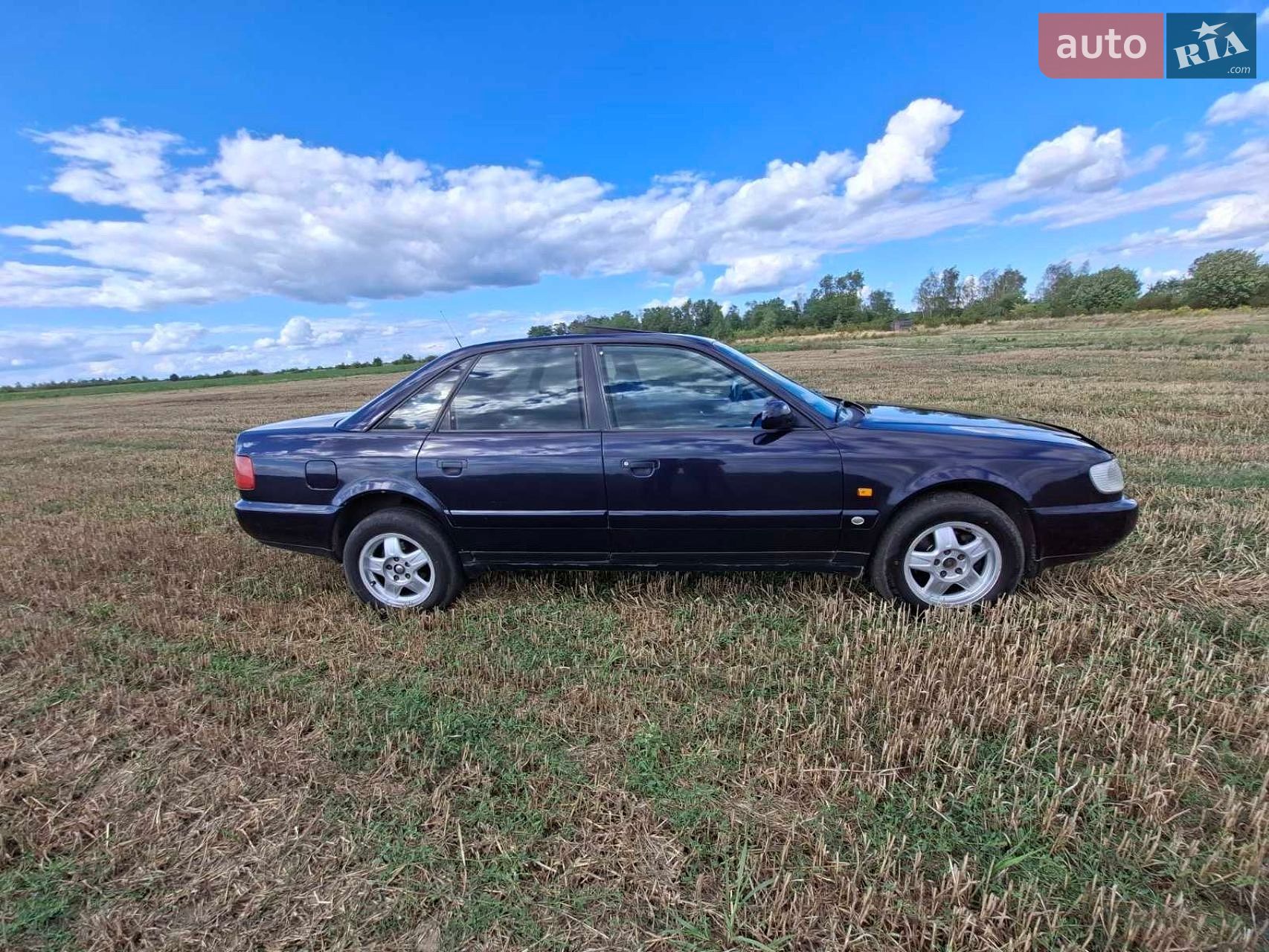 Audi A6 1996 VIN WAUZZZ4AZTN015590 фото оголошення 15 з 26