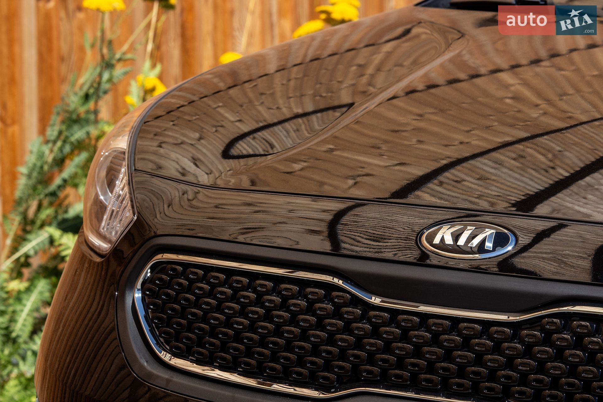 Kia Niro 2019 VIN KNDCC3LC8K5300631 фото оголошення 12 з 41