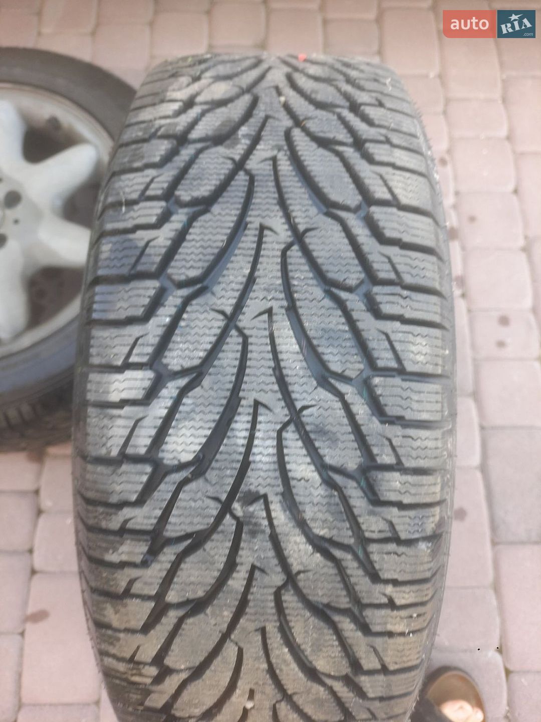 Mercedes-Benz E-Class 2004 VIN WDB2010231F484504 фото оголошення 24 з 25