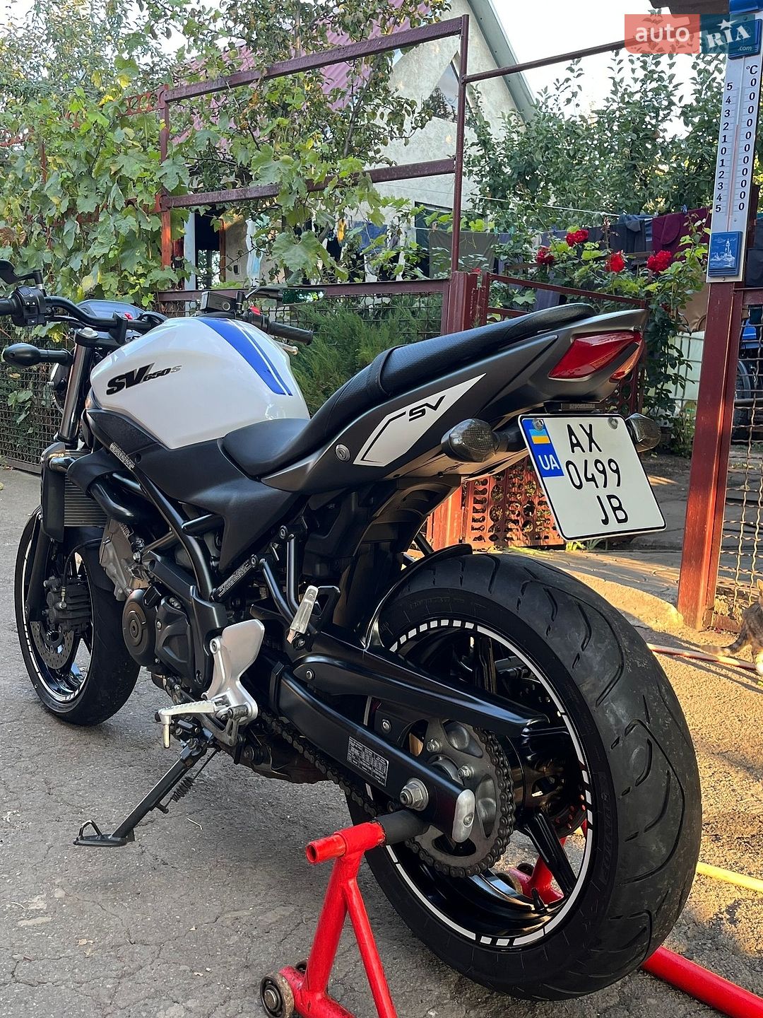 Suzuki SV 650 2016 VIN JS1VP55A8H2100104 фото оголошення 10 з 13