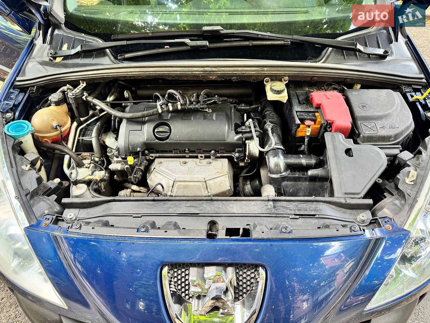 Peugeot 308 2008 VIN VF34E5FWC55259937 фото оголошення 12 з 12