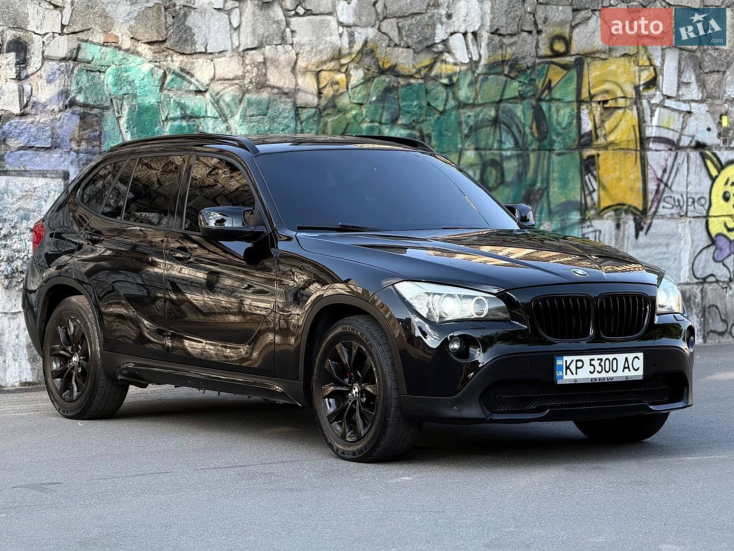 BMW X1 2010 VIN WBAVP31010VN16210 фото оголошення 2 з 20