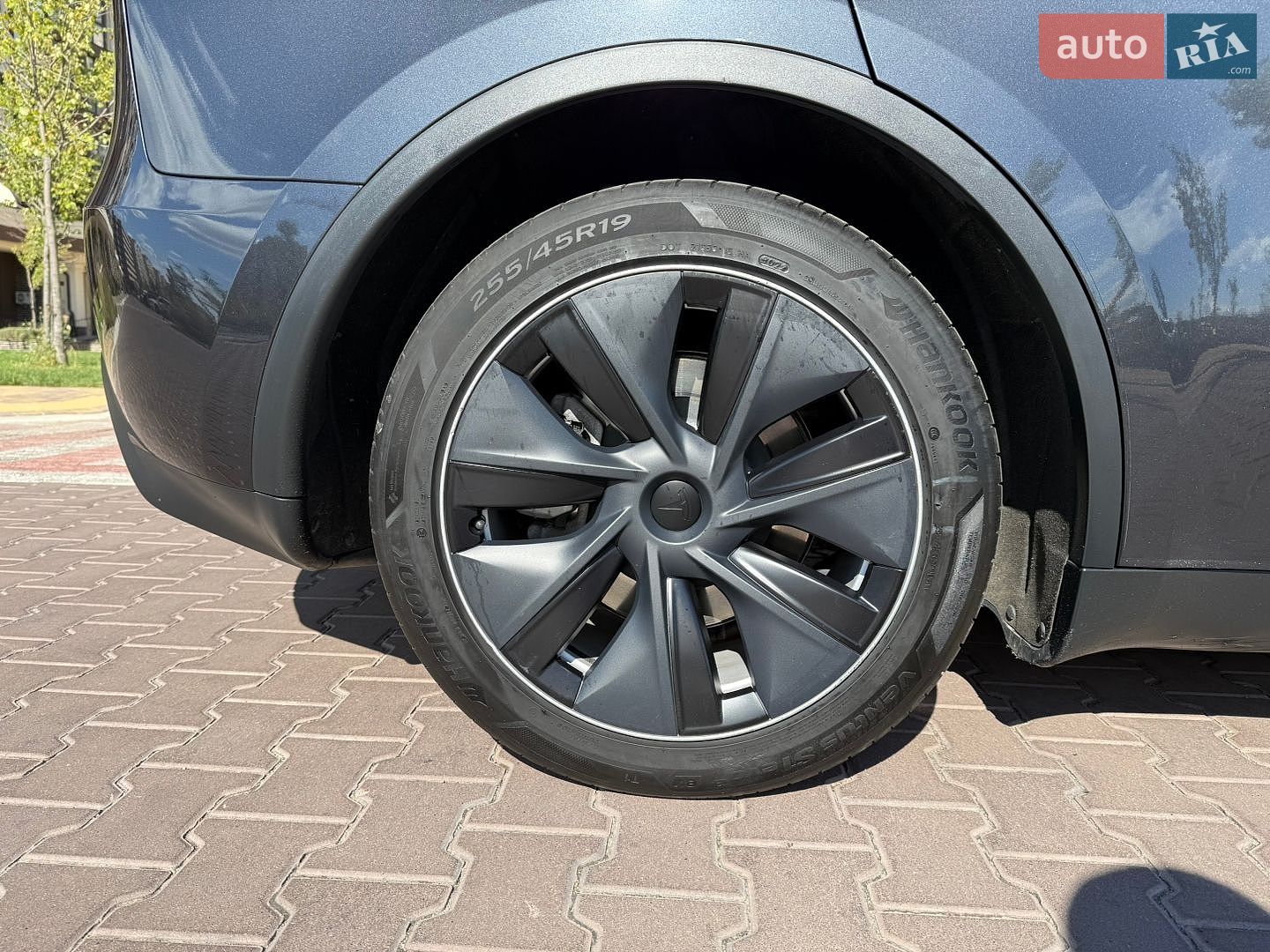 Tesla Model Y 2024 VIN 7SAYGDEE3RF991576 фото оголошення 12 з 43