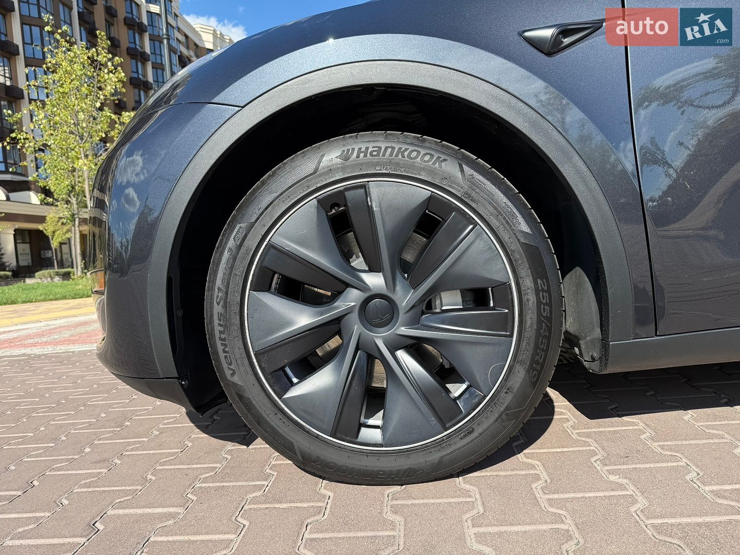 Tesla Model Y 2024 VIN 7SAYGDEE3RF991576 фото оголошення 13 з 43