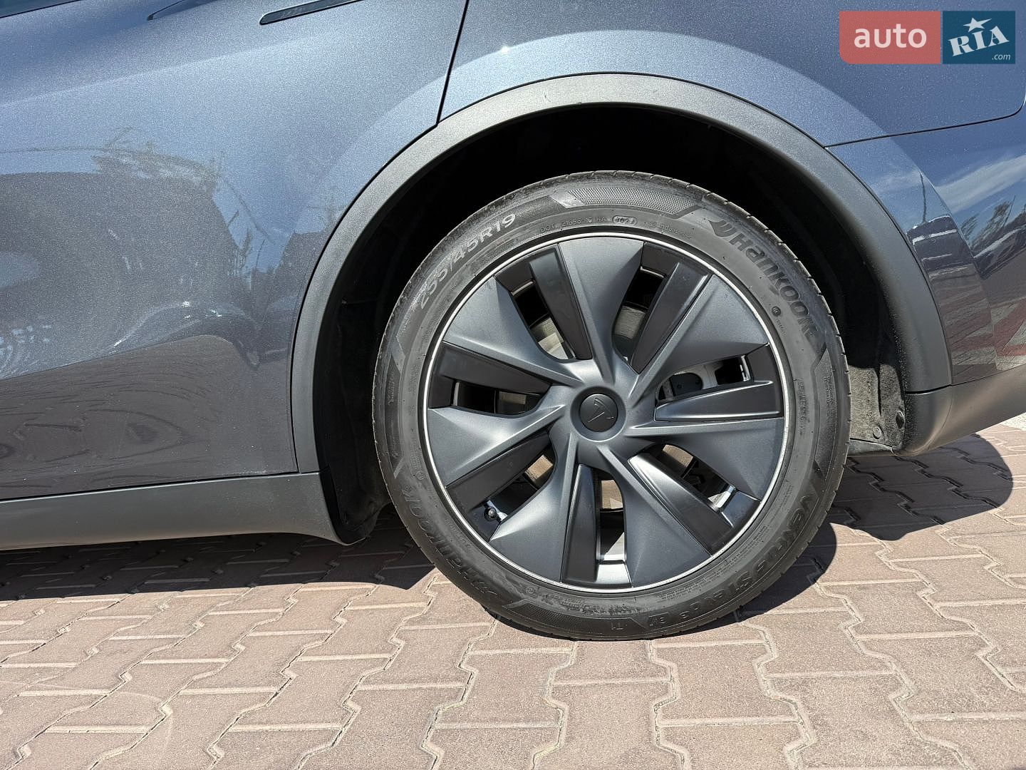 Tesla Model Y 2024 VIN 7SAYGDEE3RF991576 фото оголошення 15 з 43