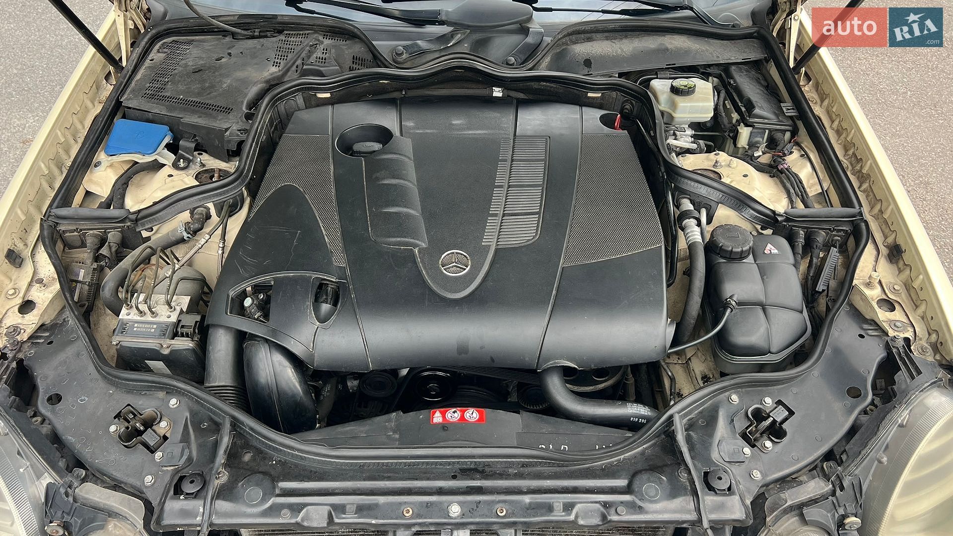 Mercedes-Benz E-Class 2007 VIN WDB2110071B170663 фото оголошення 10 з 10