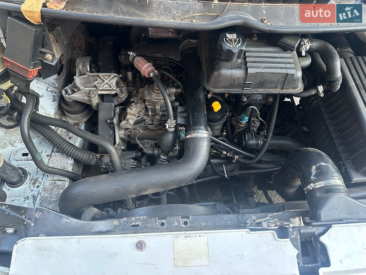 Fiat Scudo 2000 VIN ZFA22000012623958 фото оголошення 6 з 10