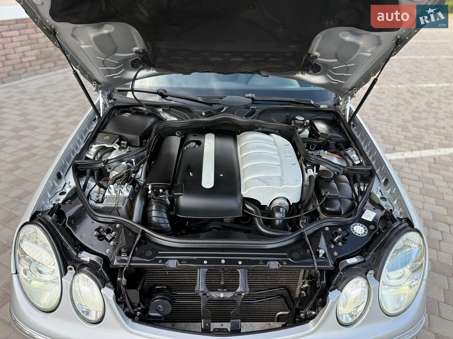 Mercedes-Benz E-Class 2002 VIN WDB2110061A081614 фото оголошення 34 з 43