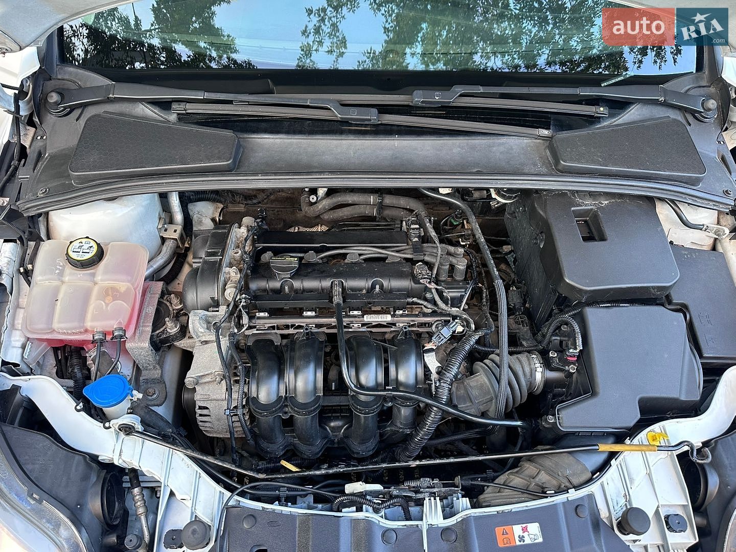 Ford Focus 2012 VIN WF0KXXGCBKCB49520 фото оголошення 28 з 29