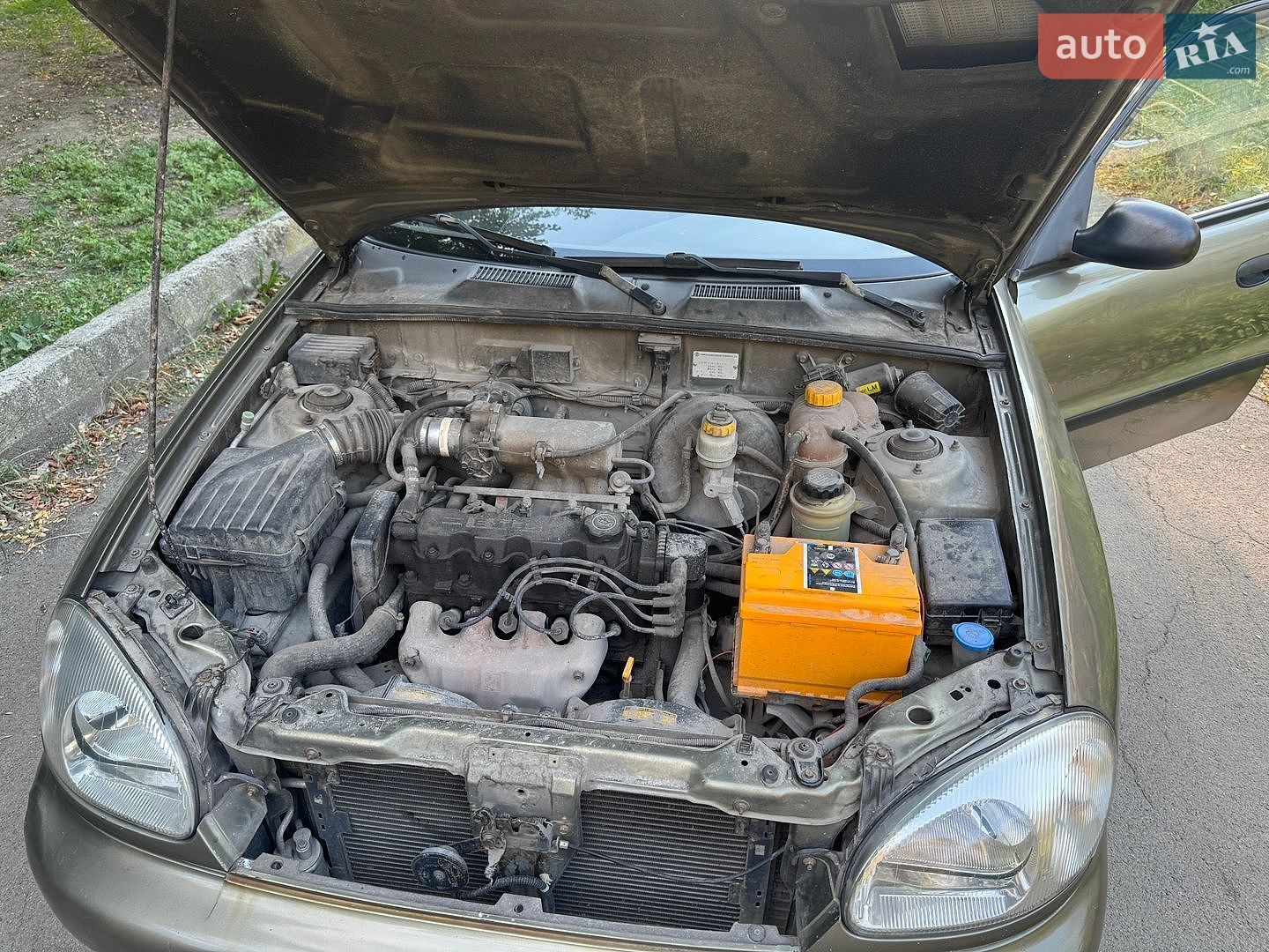 Daewoo Lanos 2008 VIN Y6DTF69YD7W351753 фото оголошення 16 з 17