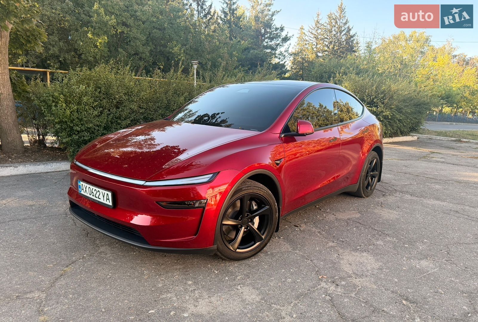 Tesla Model Y 2025 VIN 7SAYGDEE5TF329828 фото оголошення 15 з 37