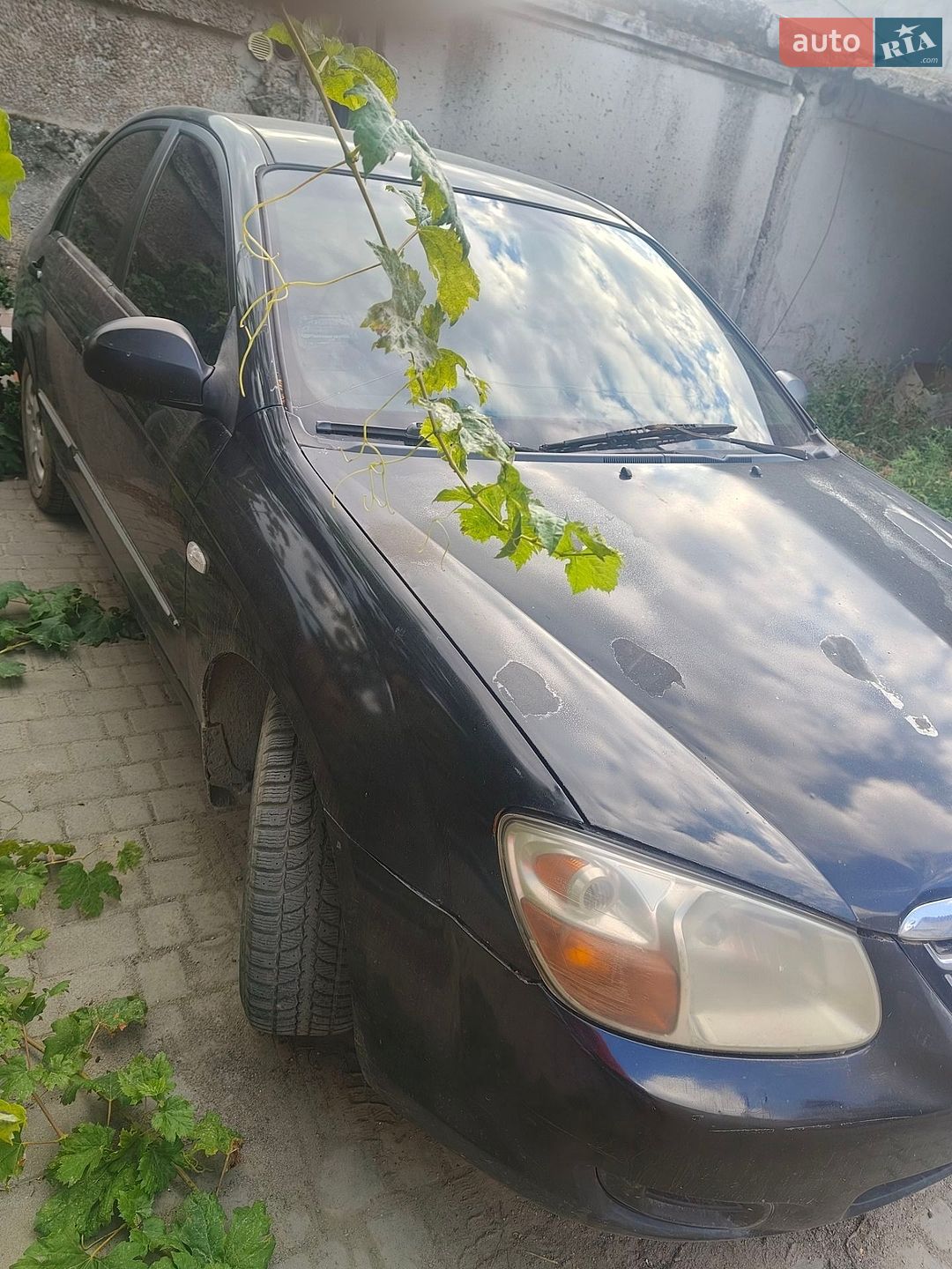 Kia Cerato 2006 VIN Y6LFE22727L004430 фото оголошення 2 з 7