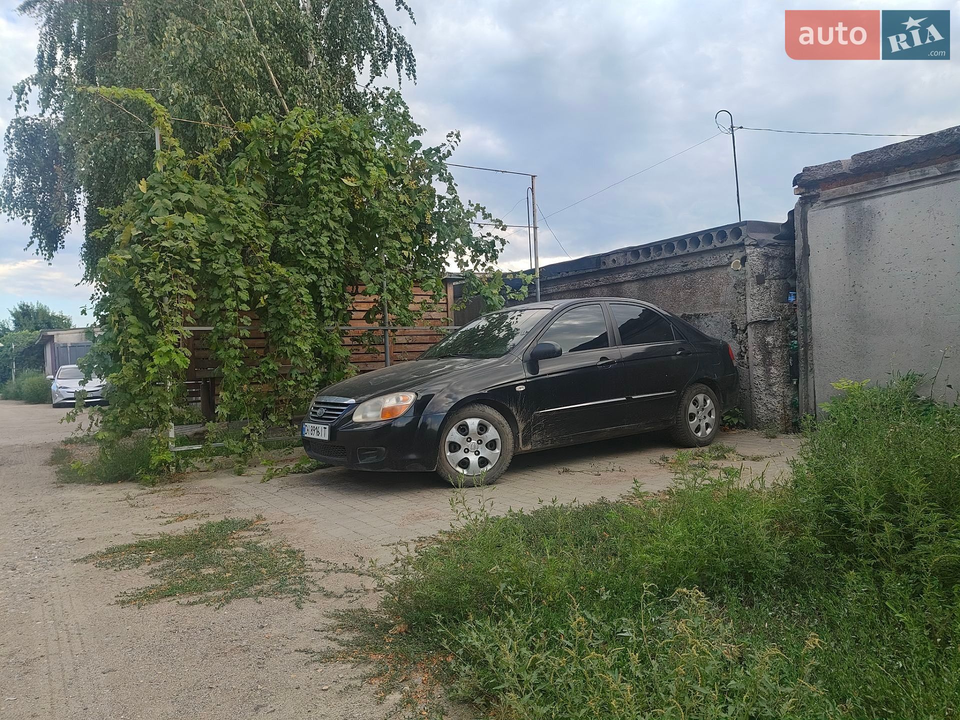 Kia Cerato 2006 VIN Y6LFE22727L004430 фото оголошення 5 з 7