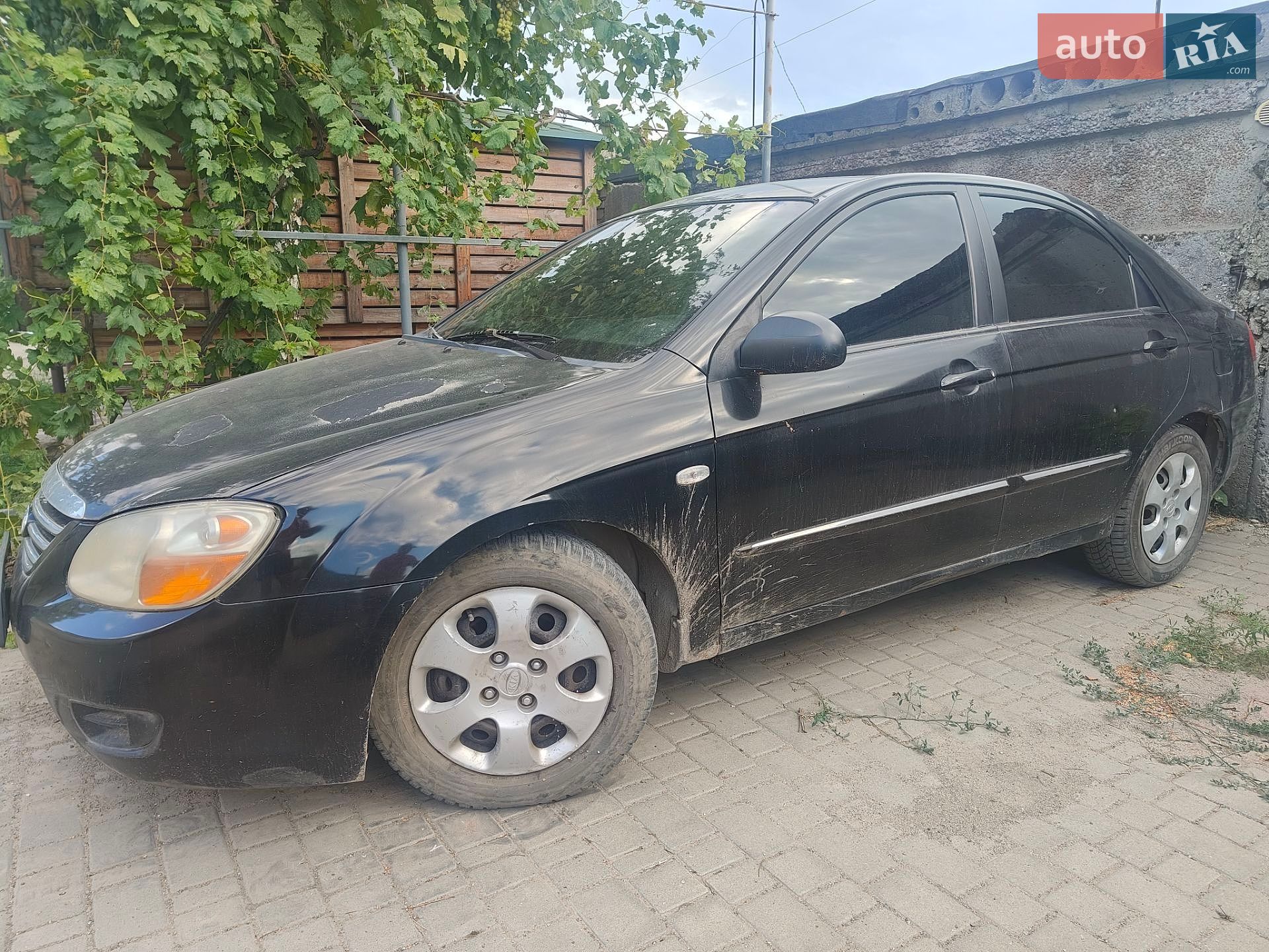 Kia Cerato 2006 VIN Y6LFE22727L004430 фото оголошення 7 з 7