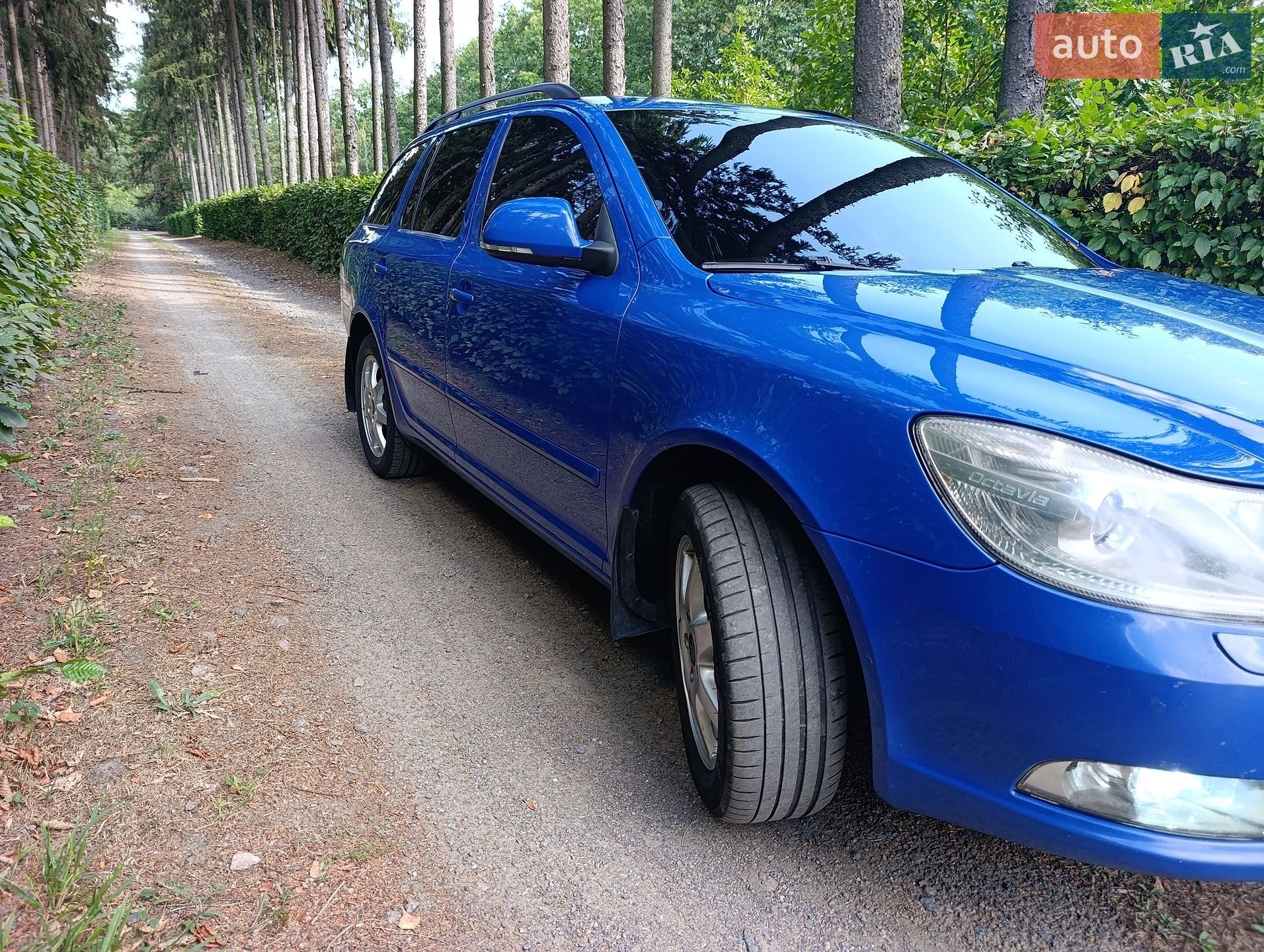Skoda Octavia 2009 VIN TMBHE61Z298008023 фото оголошення 7 з 10
