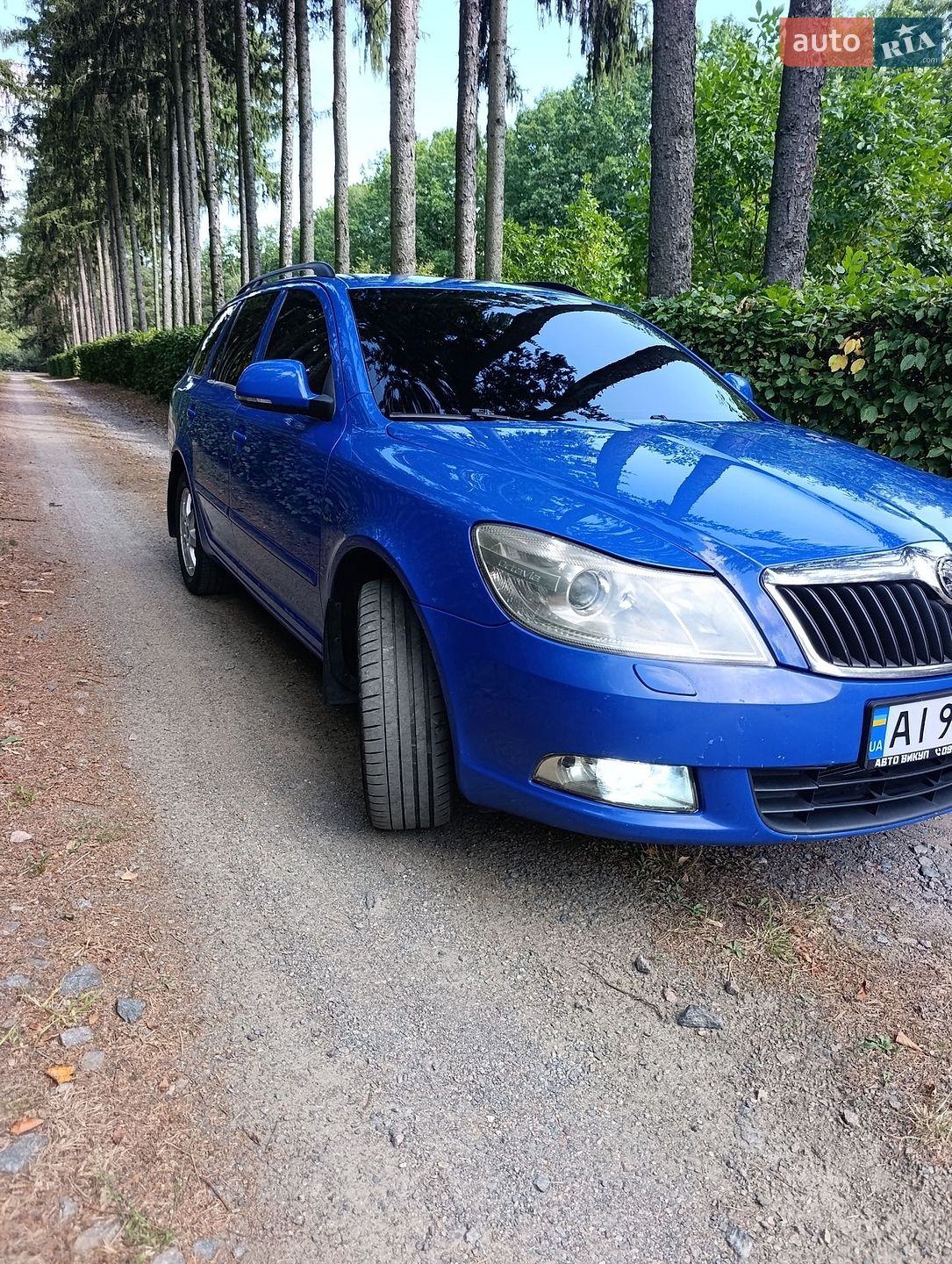 Skoda Octavia 2009 VIN TMBHE61Z298008023 фото оголошення 8 з 10