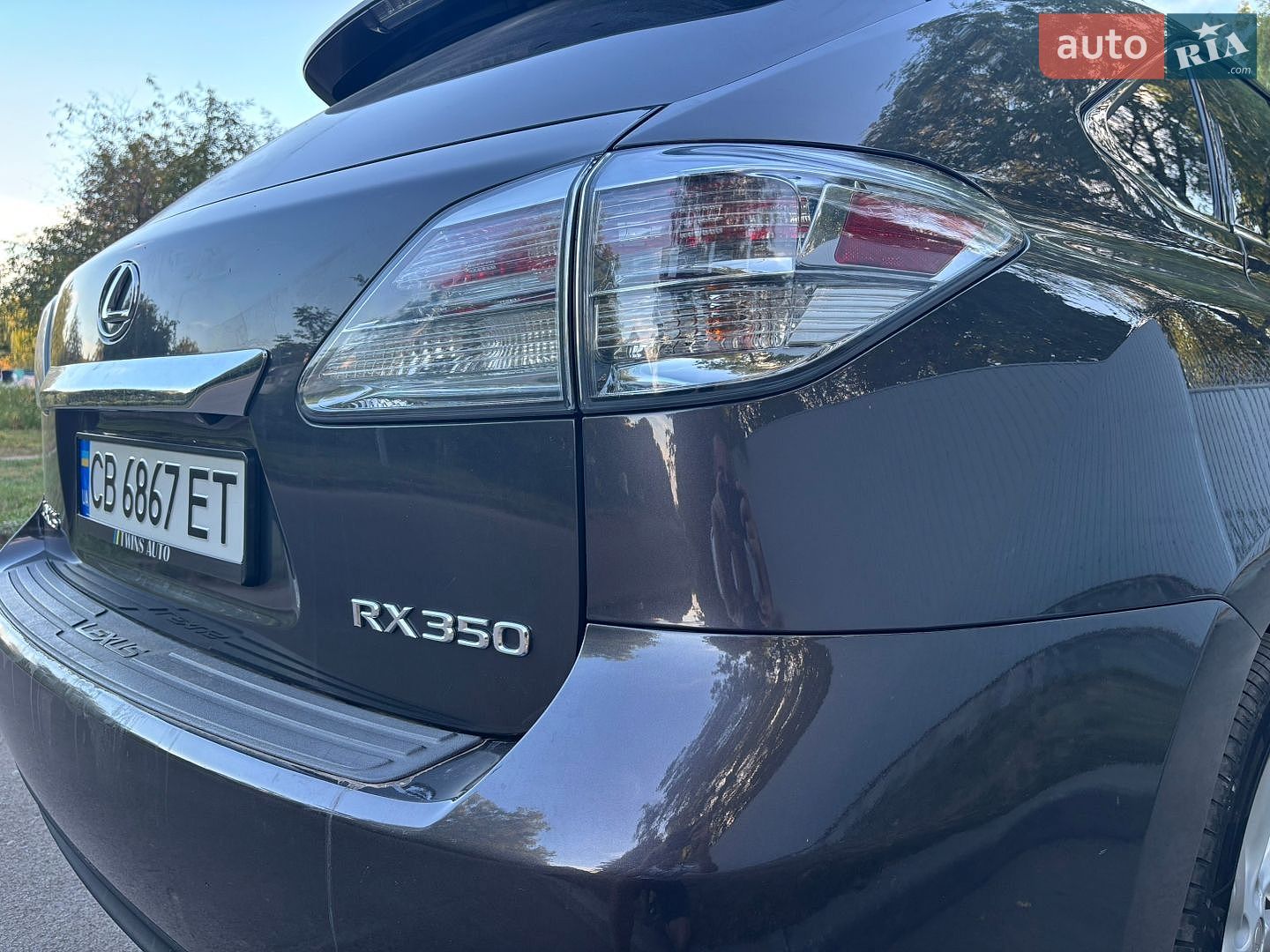 Lexus RX 2010 VIN 2T2BK1BAXAC058487 фото оголошення 31 з 43