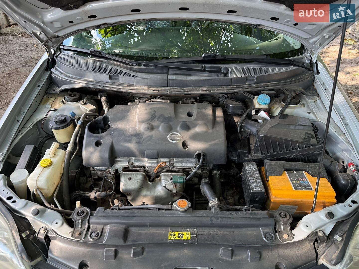 Nissan Primera 2006 VIN SJNBBAP12U2303352 фото оголошення 28 з 55