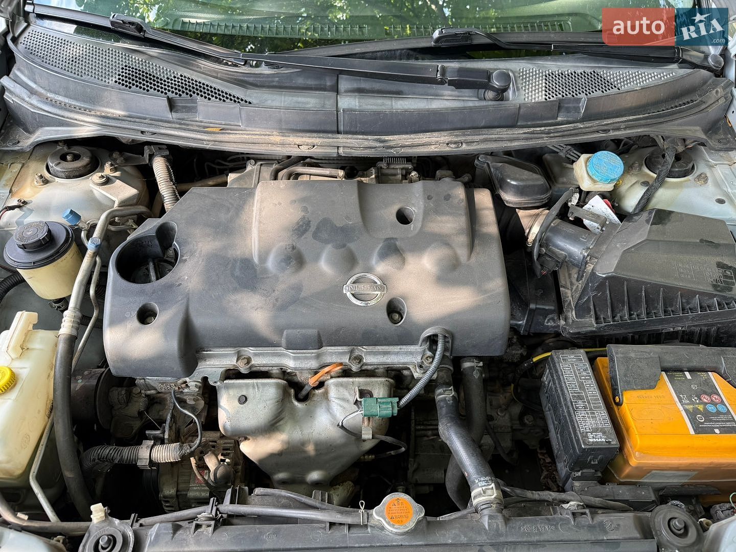 Nissan Primera 2006 VIN SJNBBAP12U2303352 фото оголошення 30 з 55