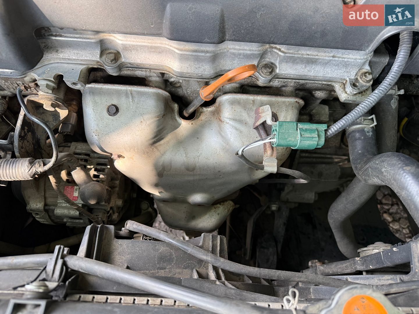 Nissan Primera 2006 VIN SJNBBAP12U2303352 фото оголошення 33 з 55
