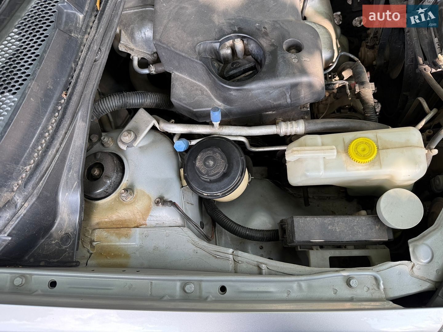 Nissan Primera 2006 VIN SJNBBAP12U2303352 фото оголошення 34 з 55