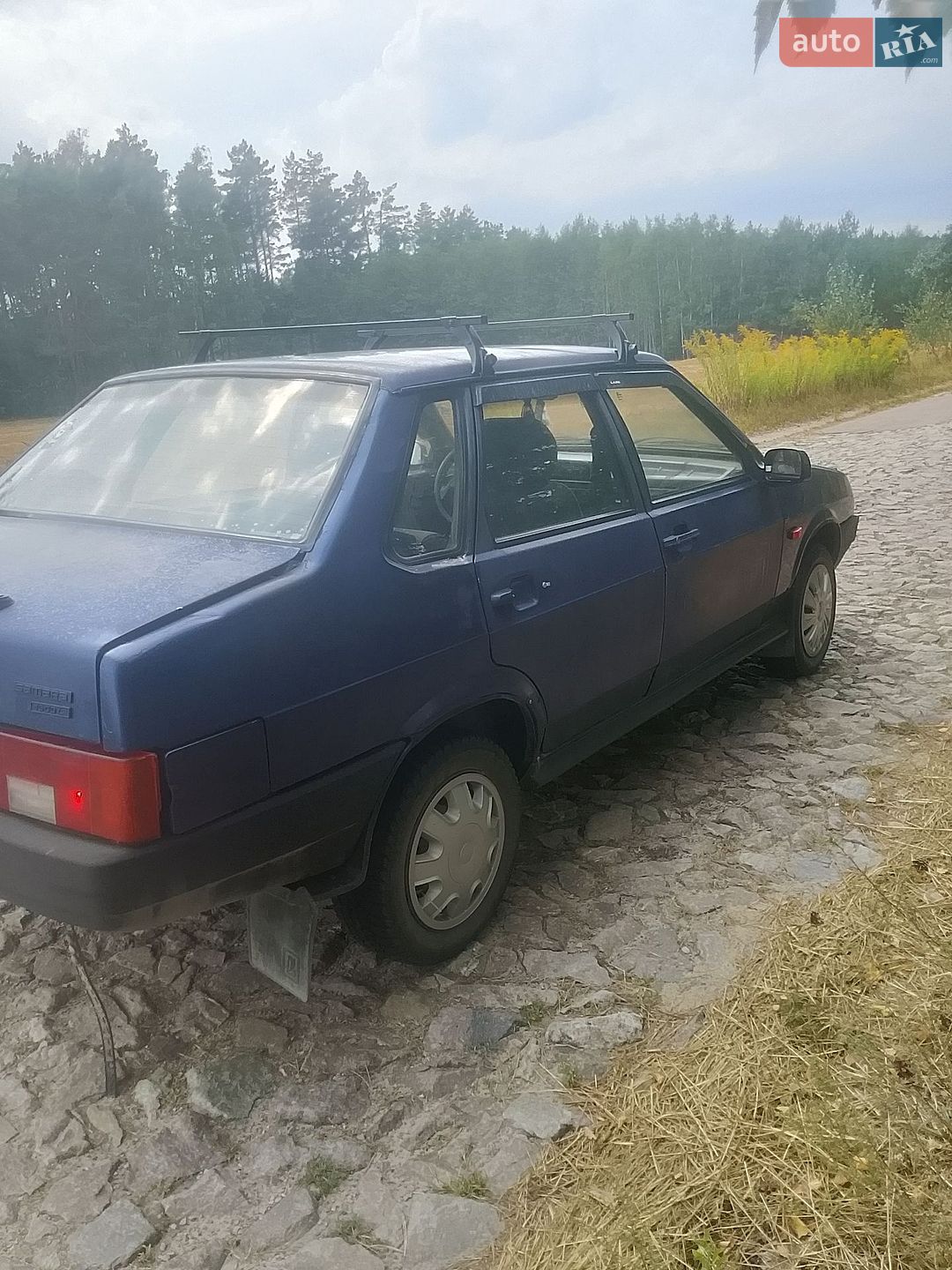 ВАЗ / Lada 21099 1999 VIN XTA210990Y2635737 фото оголошення 3 з 9