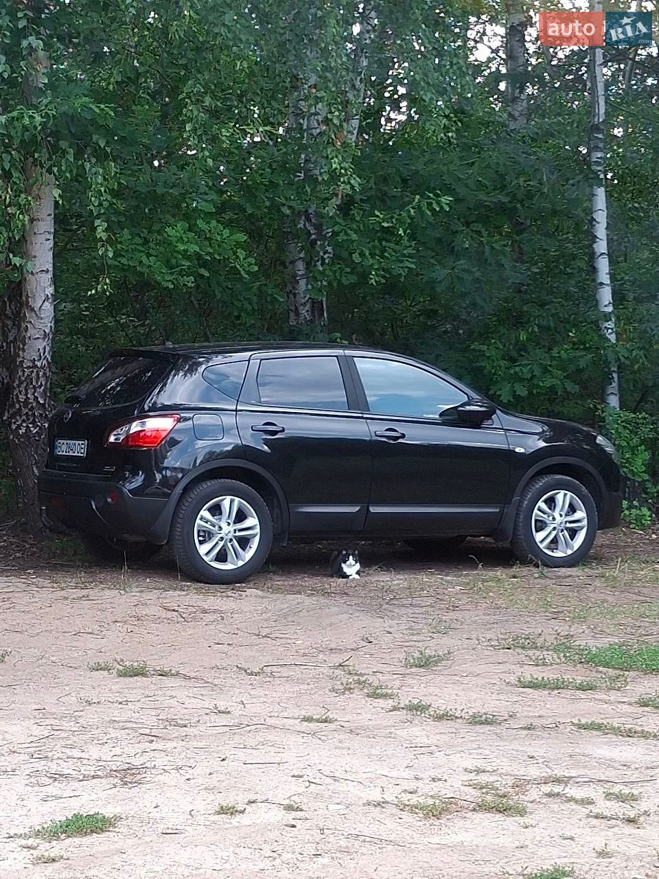 Nissan Qashqai 2011 VIN SJNFCAJ10U2189423 фото оголошення 15 з 24
