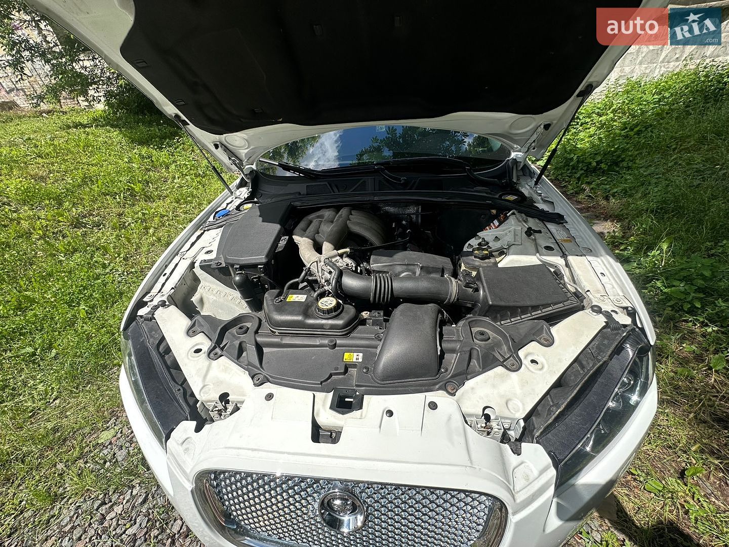 Jaguar XF 2012 VIN SAJAA04H4CFS44674 фото оголошення 15 з 15