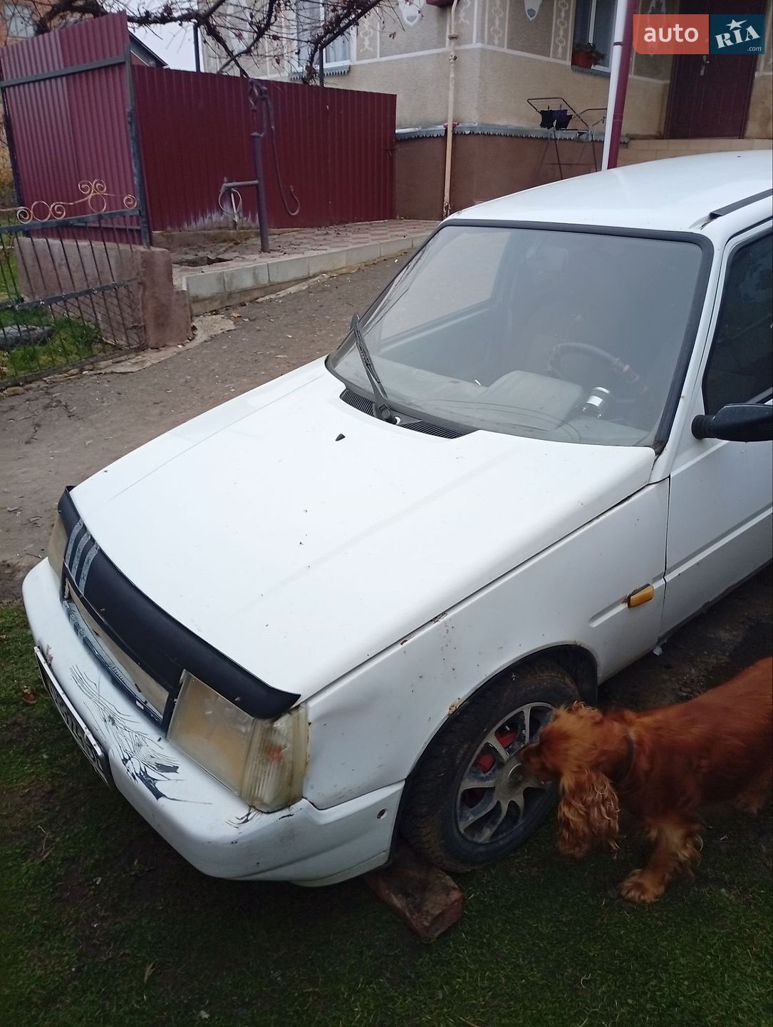 ЗАЗ 1103 Славута 2006 VIN Y6D11030760093134 фото оголошення 8 з 11