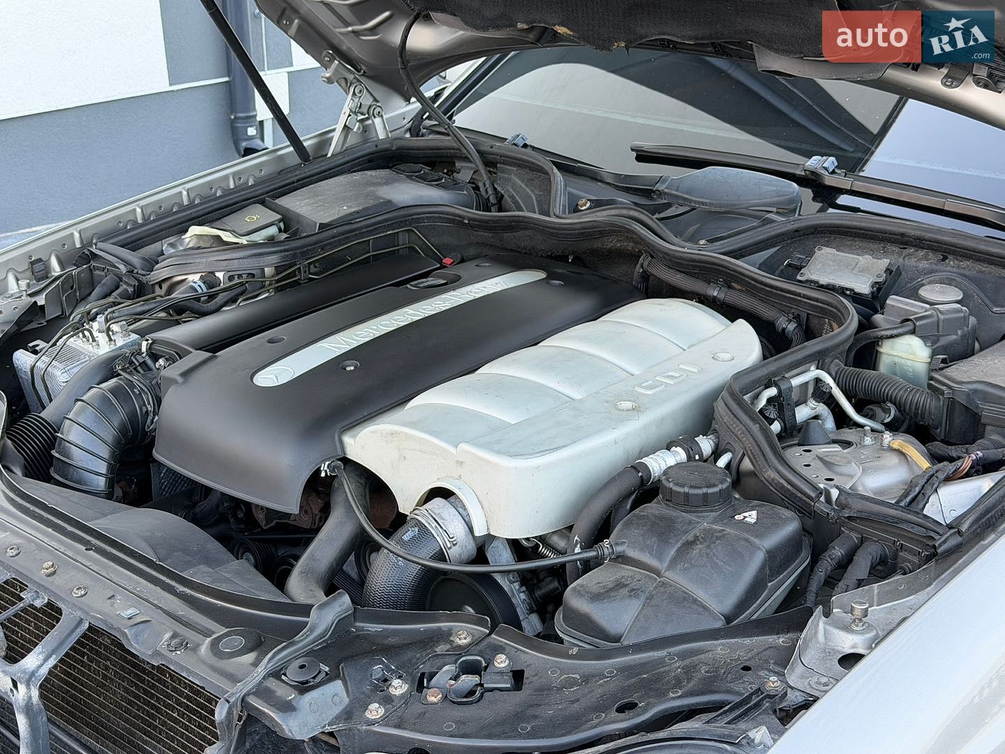 Mercedes-Benz E-Class 2003 VIN WDB2110061A248215 фото оголошення 38 з 41