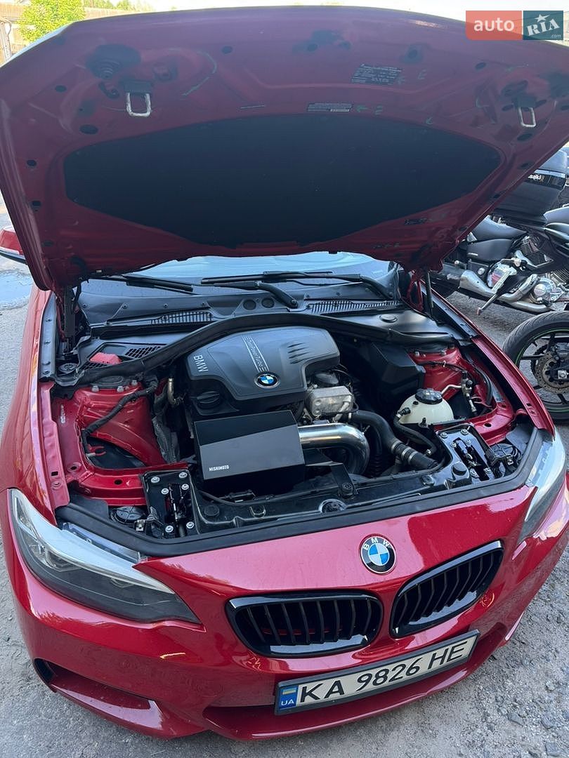 BMW 2 Series 2015 VIN WBA1G9C53GV599708 фото оголошення 21 з 24