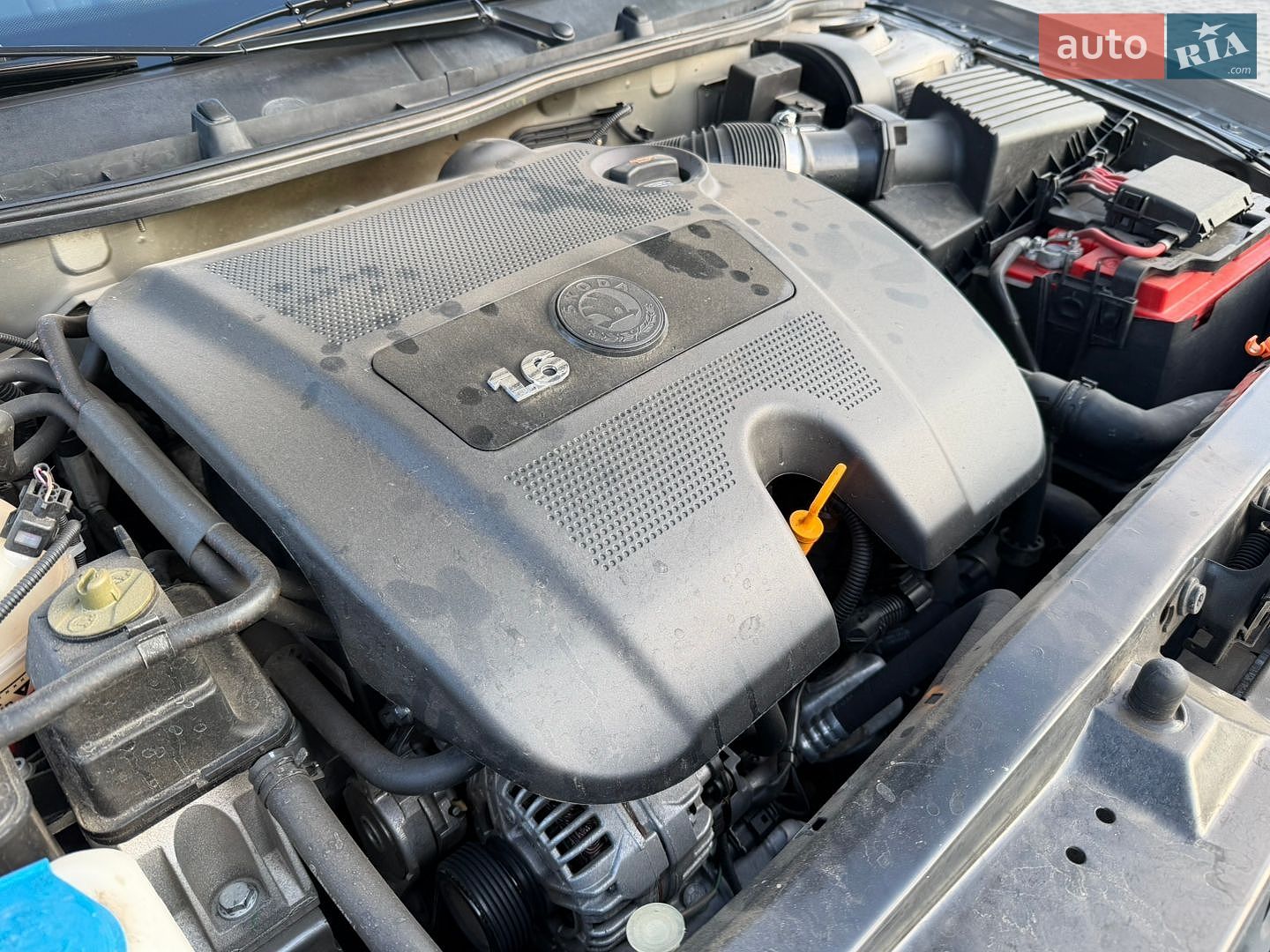 Skoda Octavia 2008 VIN TMBDX41U69B011124 фото оголошення 63 з 67