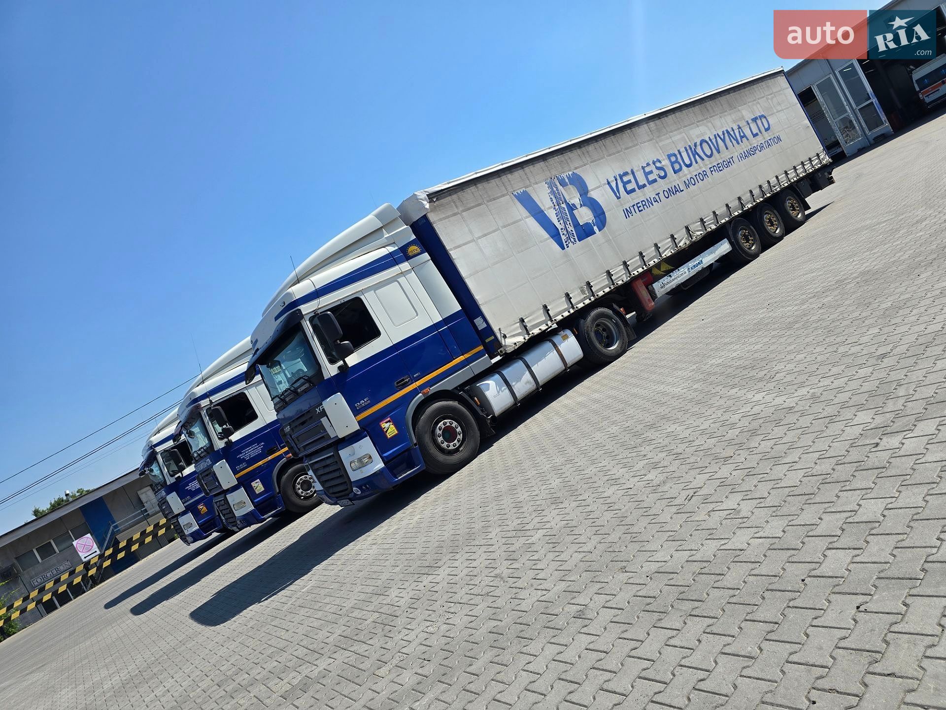 DAF XF 105 2008 VIN XLRTE47MS0E817304 фото оголошення 5 з 10