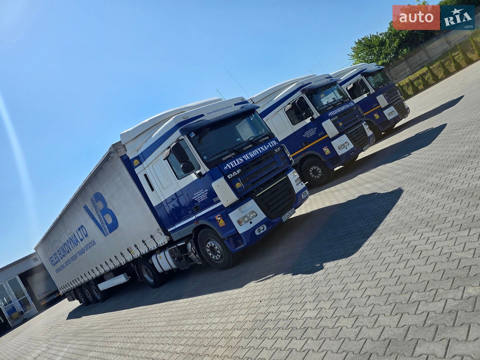 DAF XF 105 2008 VIN XLRTE47MS0E817304 фото оголошення 7 з 10
