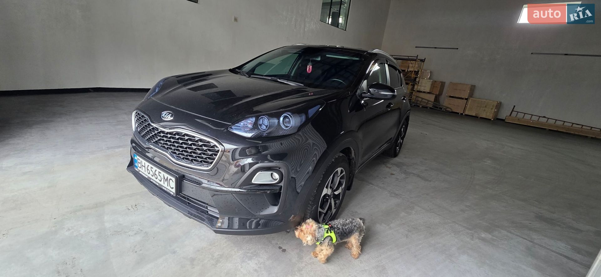 Kia Sportage 2020 VIN U5YPG812GML982012 фото оголошення 7 з 7
