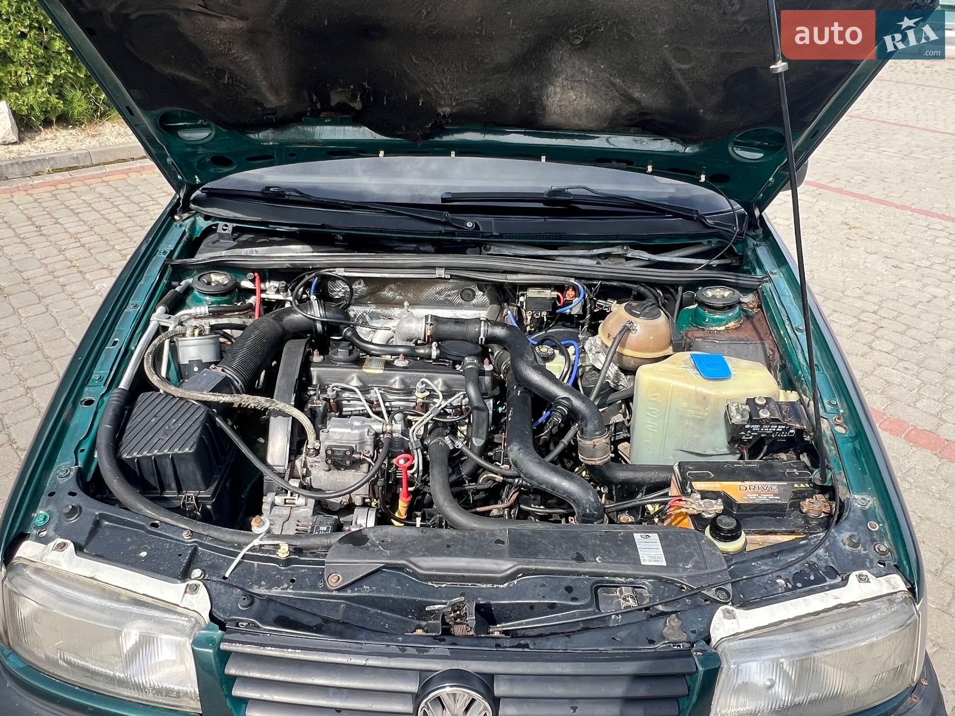 Volkswagen Passat 1996 VIN WVWZZZ3AZTE237644 фото оголошення 13 з 15