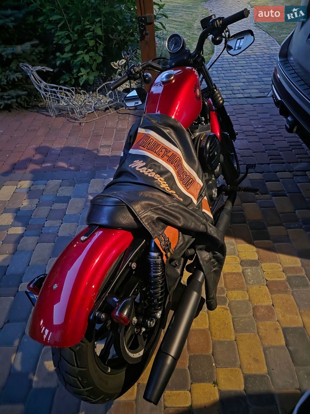Harley-Davidson XL 883N 2019 VIN 1HD4LE218KC417927 фото оголошення 3 з 18