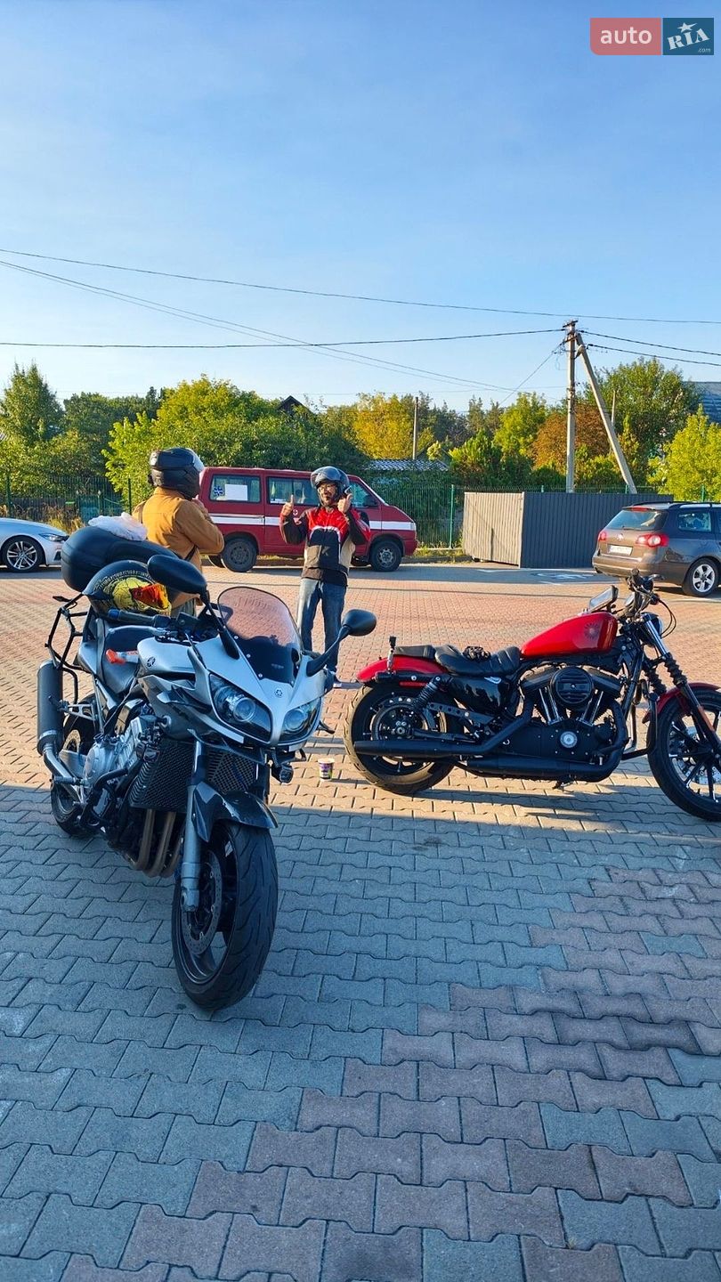Harley-Davidson XL 883N 2019 VIN 1HD4LE218KC417927 фото оголошення 12 з 18