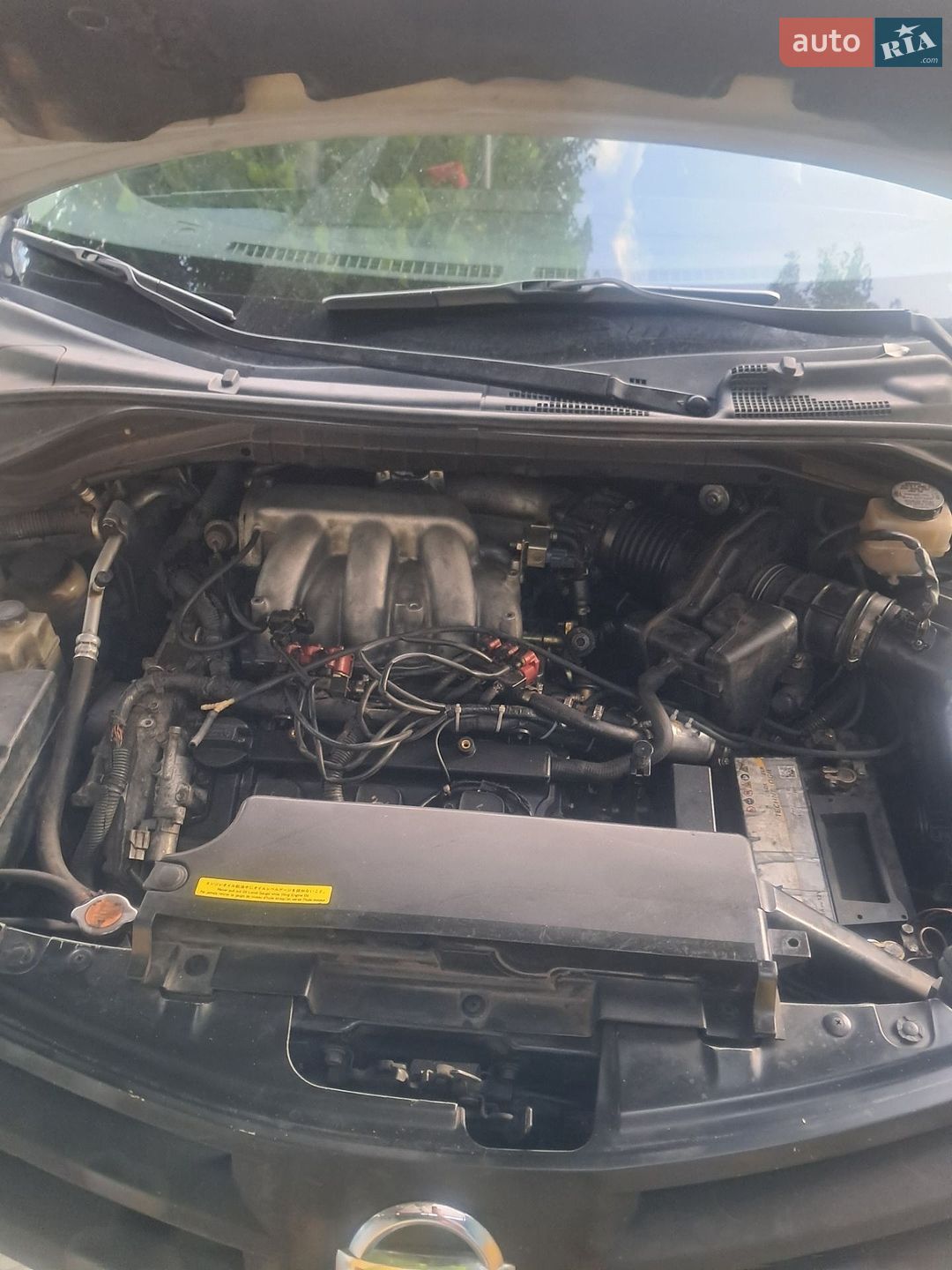 Nissan Murano 2003 VIN JN8AZ08W93W228247 фото оголошення 9 з 10