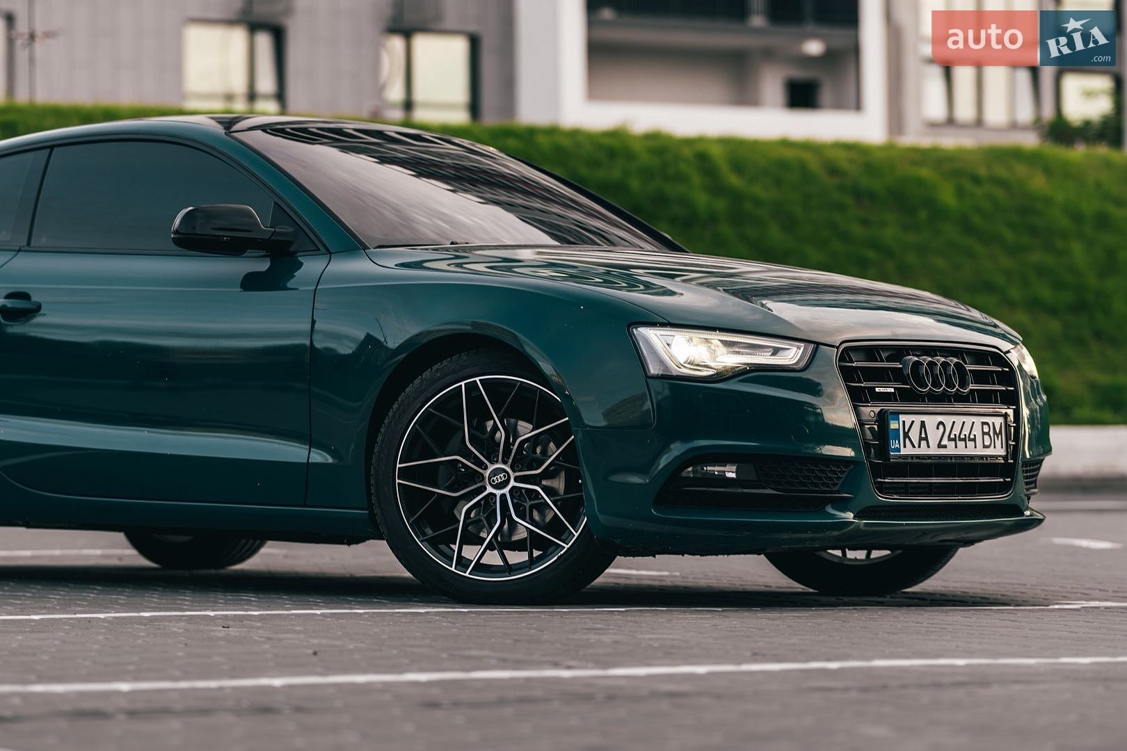 Audi A5 2011 VIN WAUZZZ8T9CA006844 фото оголошення 38 з 49