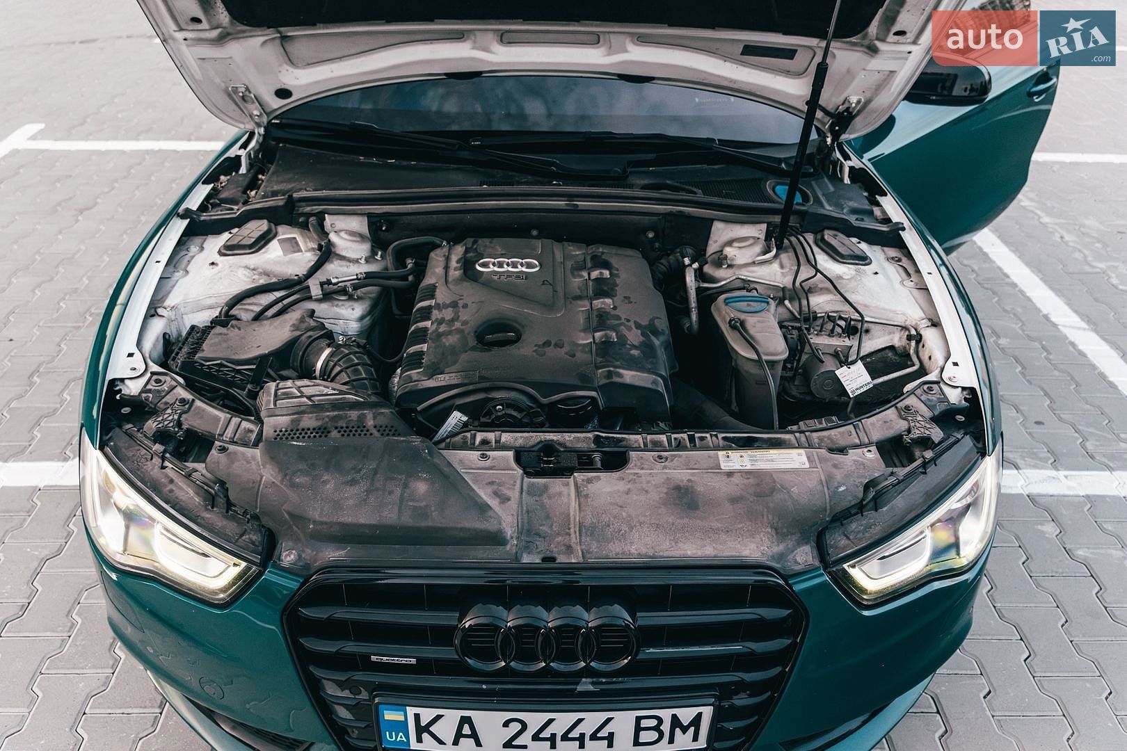 Audi A5 2011 VIN WAUZZZ8T9CA006844 фото оголошення 47 з 49