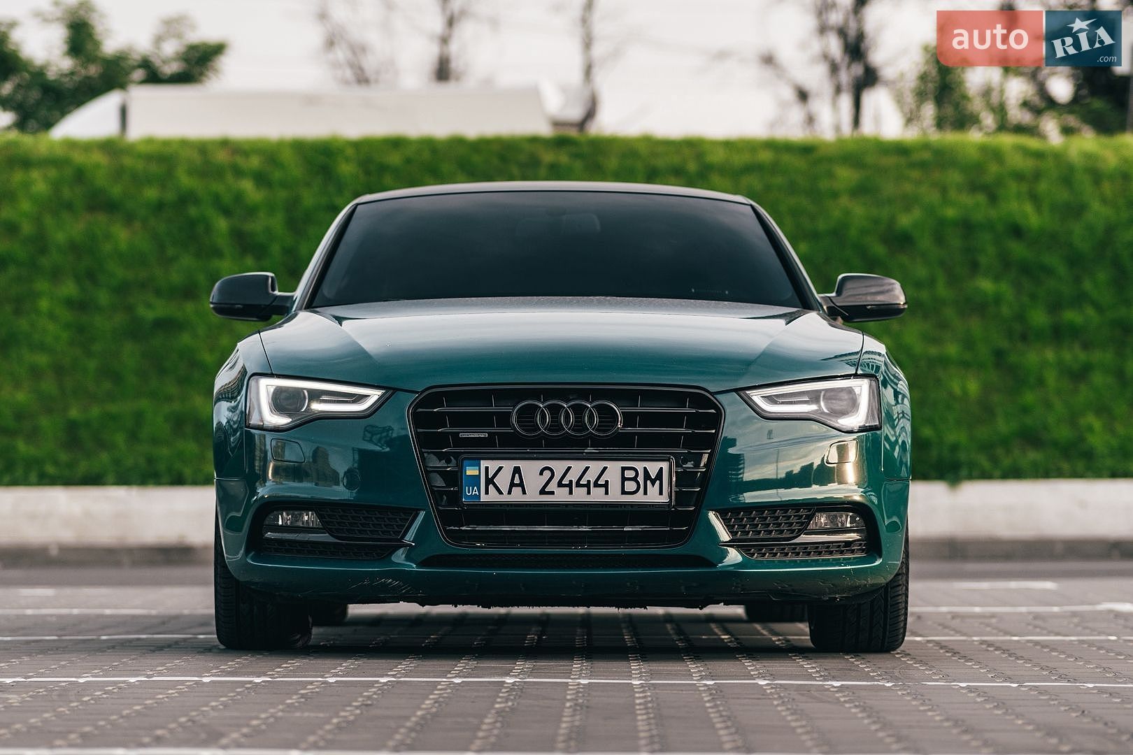 Audi A5 2011 VIN WAUZZZ8T9CA006844 фото оголошення 45 з 45
