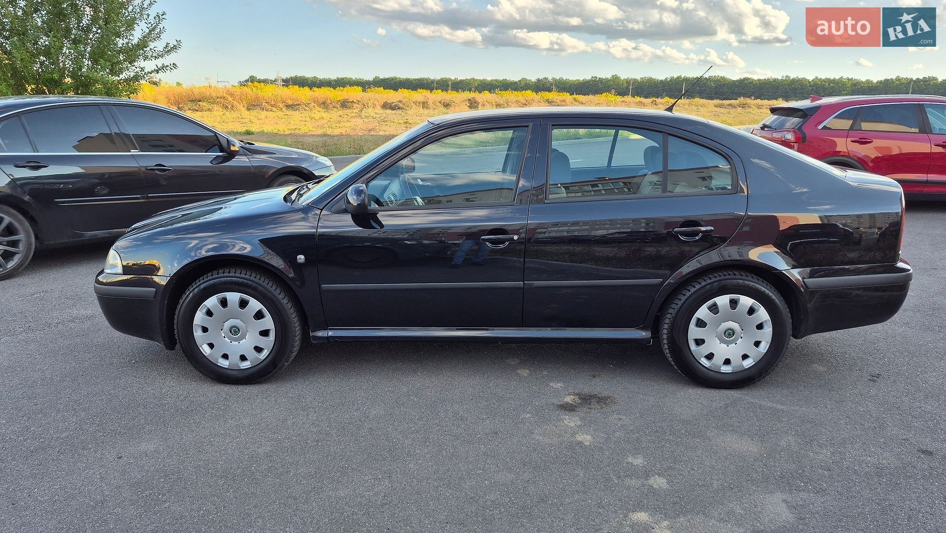 Skoda Octavia 2010 VIN TMBDX41U1A8864550 фото оголошення 5 з 33