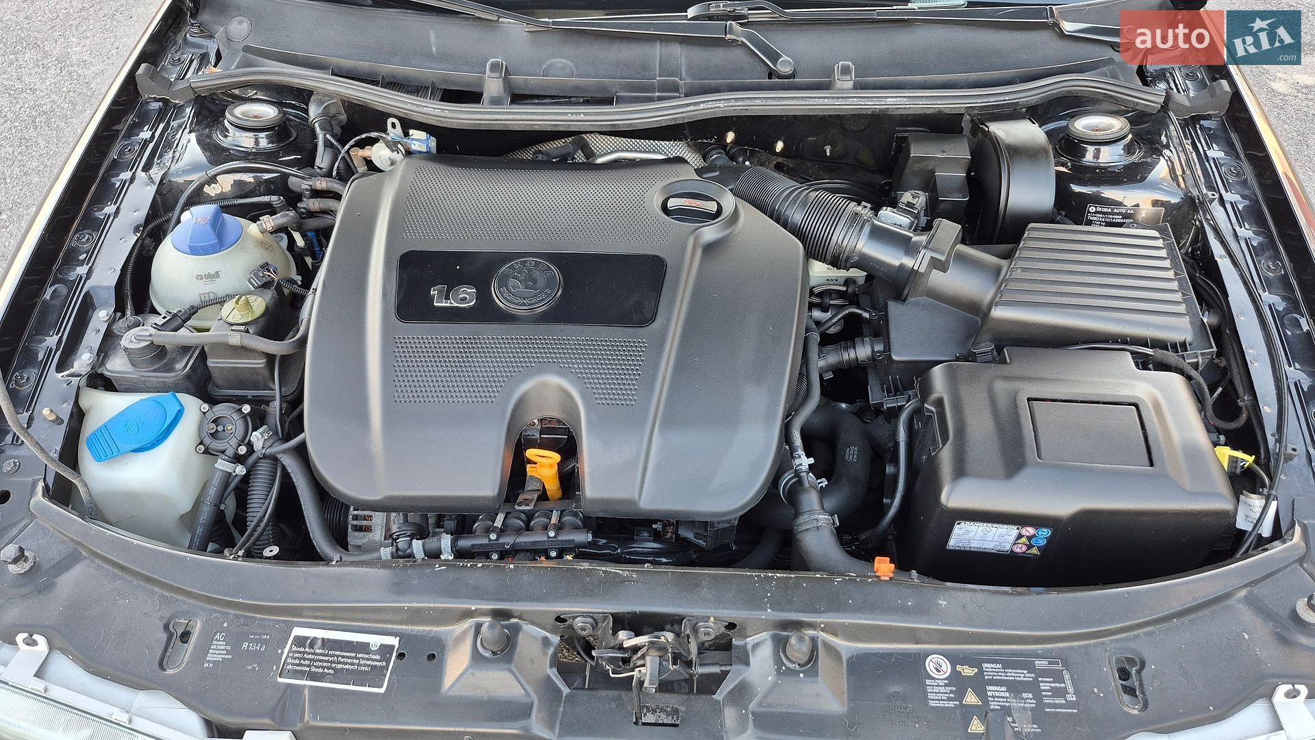 Skoda Octavia 2010 VIN TMBDX41U1A8864550 фото оголошення 28 з 33
