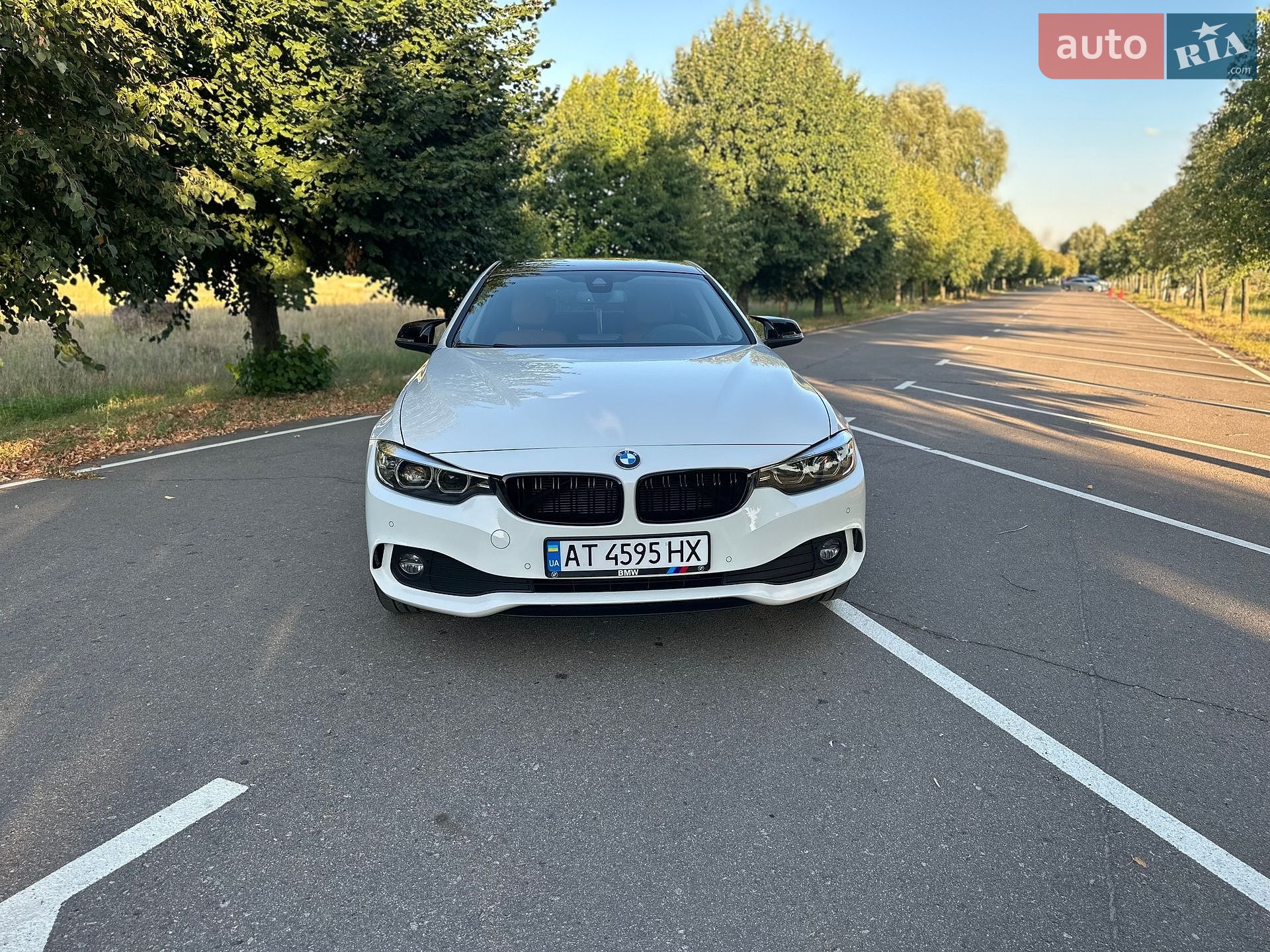 BMW 4 Series Gran Coupe 2020 VIN WBA4K51030CE13021 фото оголошення 28 з 38